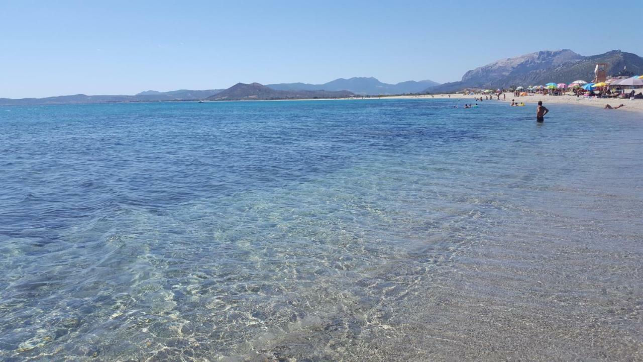 Casa I Falchi Budoni Εξωτερικό φωτογραφία